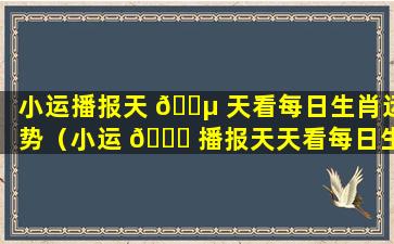 小运播报天 🐵 天看每日生肖运势（小运 🍀 播报天天看每日生肖运势2022.10.24）